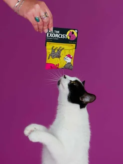 Call The Exorcist Catnip Toy