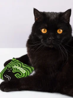Duuuuuude Catnip Toy