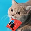 Existential Kitty Catnip Toy